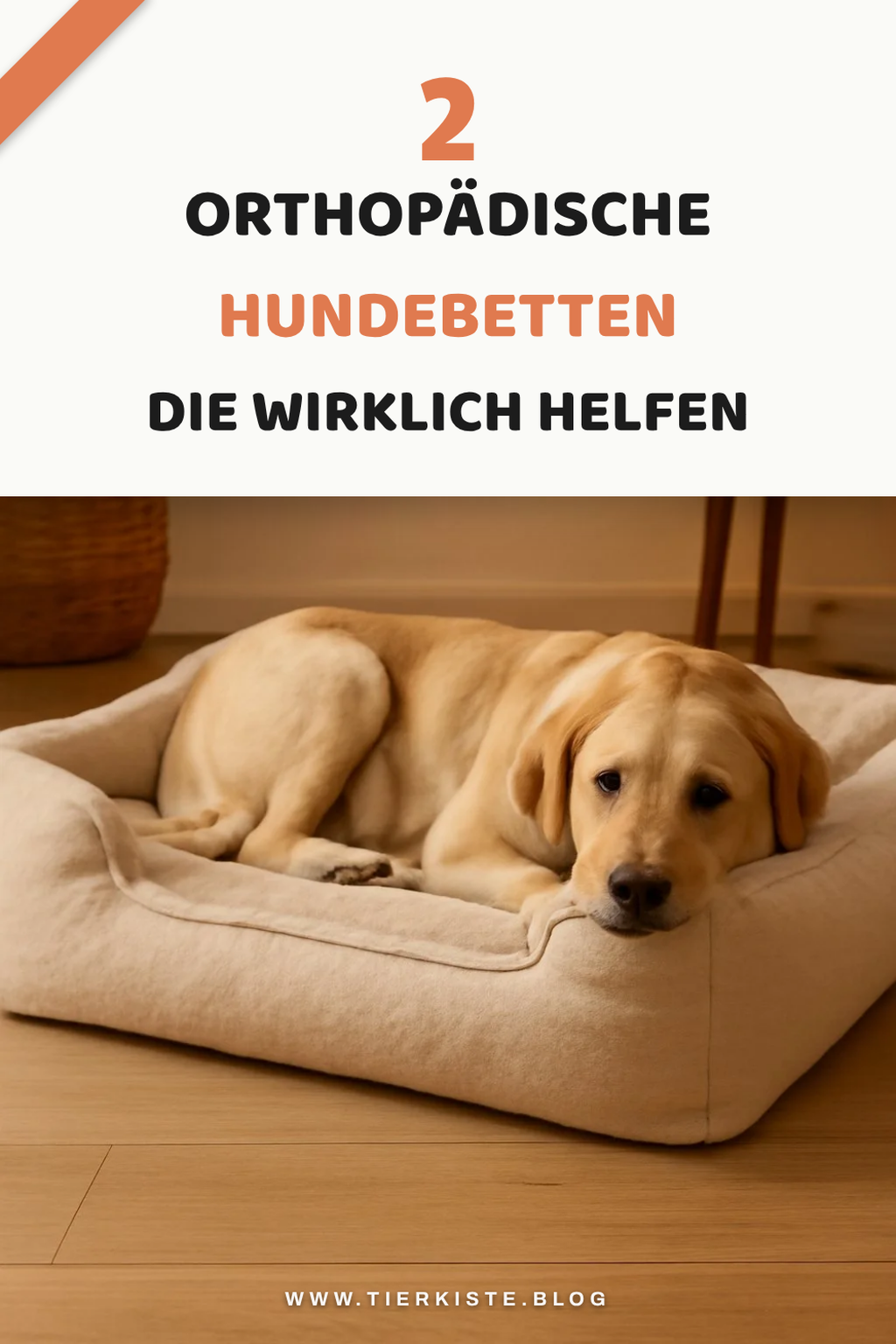 Die 5 besten orthopädischen Hundebetten für gesunden Schlaf