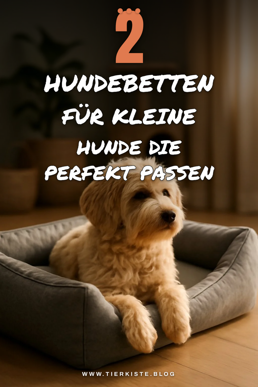 Die 4 besten Hundebetten für kleine Hunde
