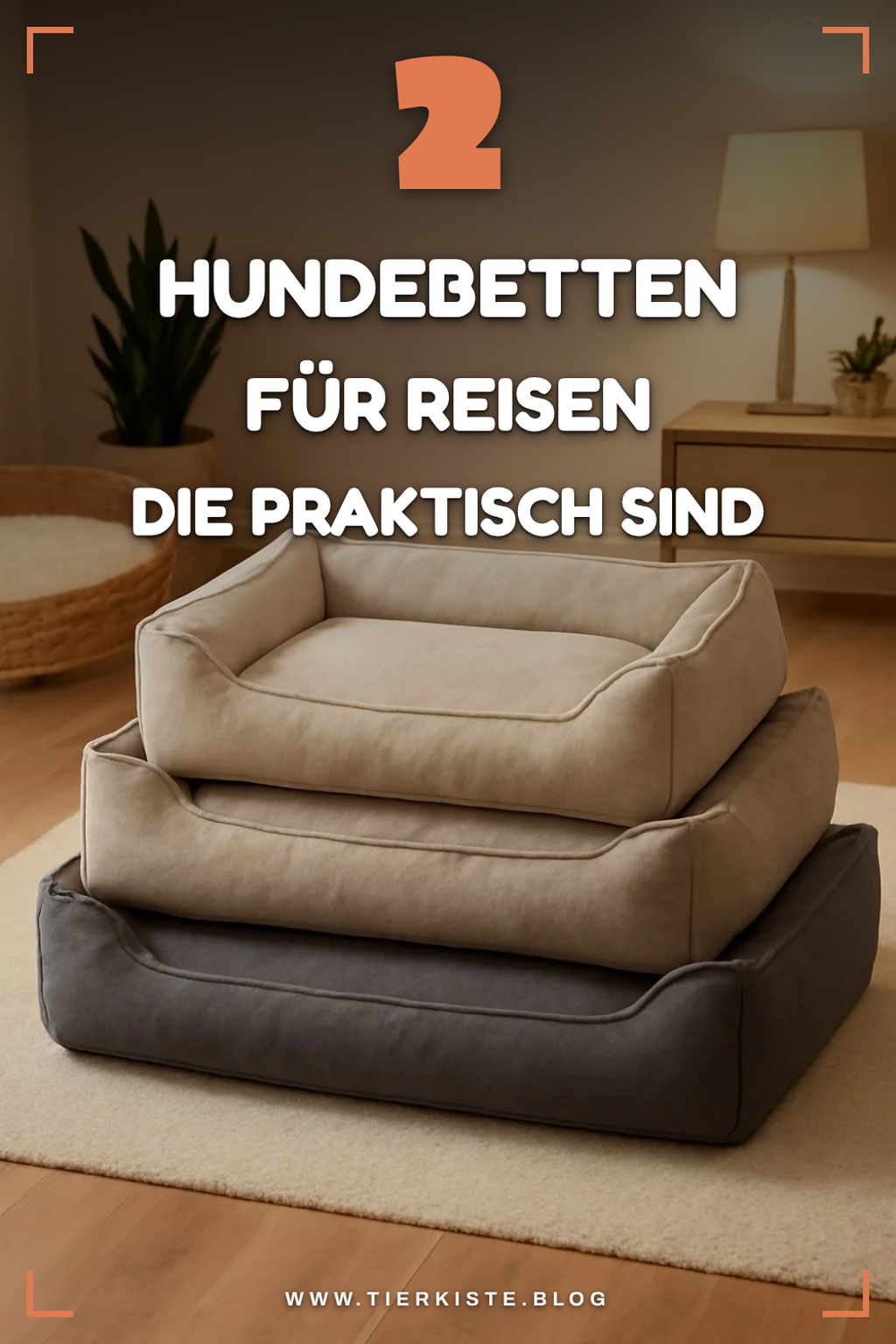 Die 3 besten Hundebetten für Reise und unterwegs