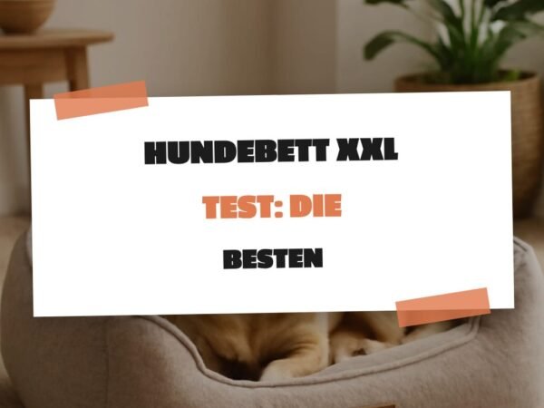 Hundebett XXL Test: Die besten für große Hunde