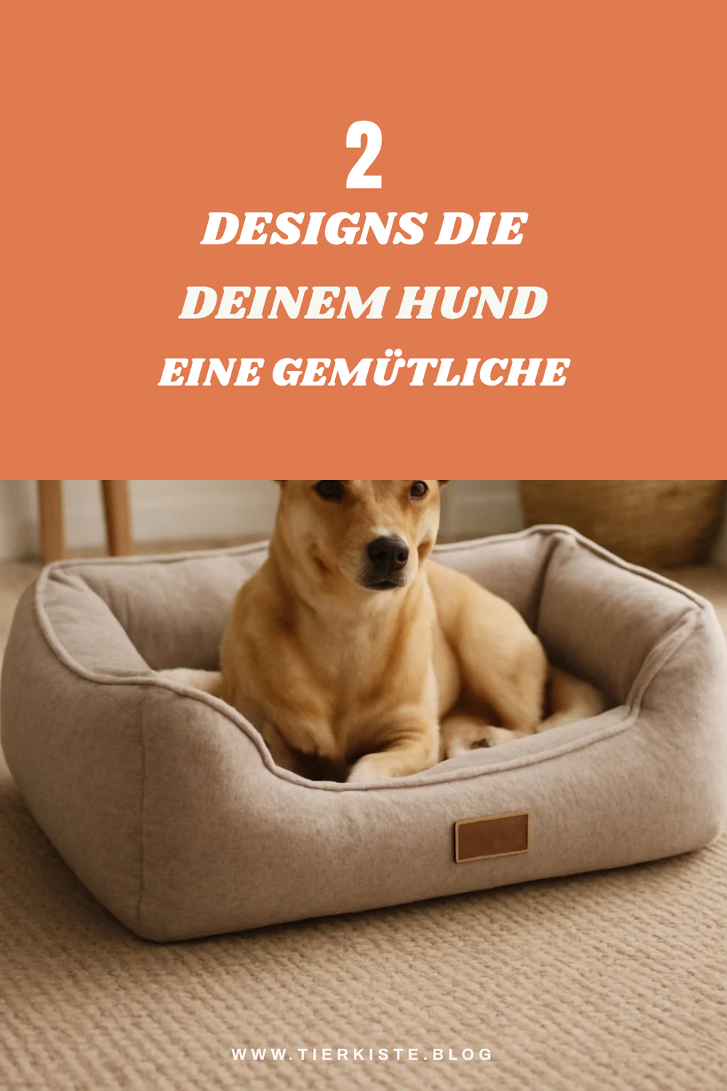 Die 4 besten Designs für große Hundebetten