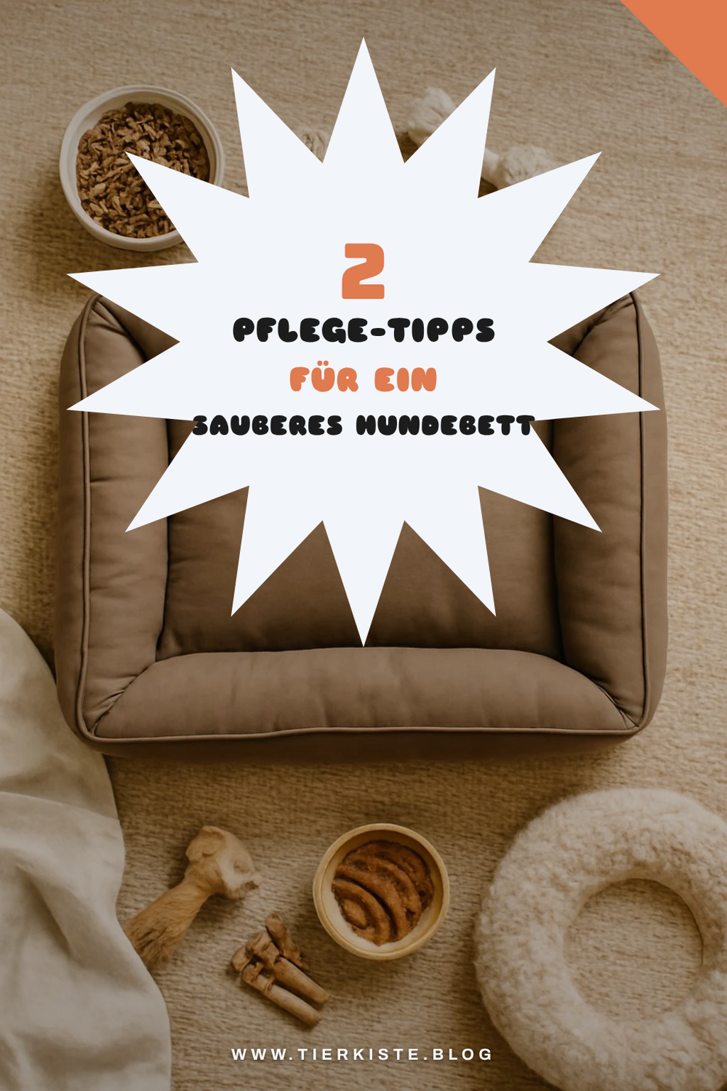 Die 3 besten Pflege-Tipps für Hundebetten