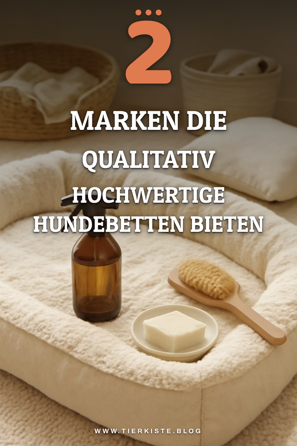 Die 3 besten Marken für Hundebetten