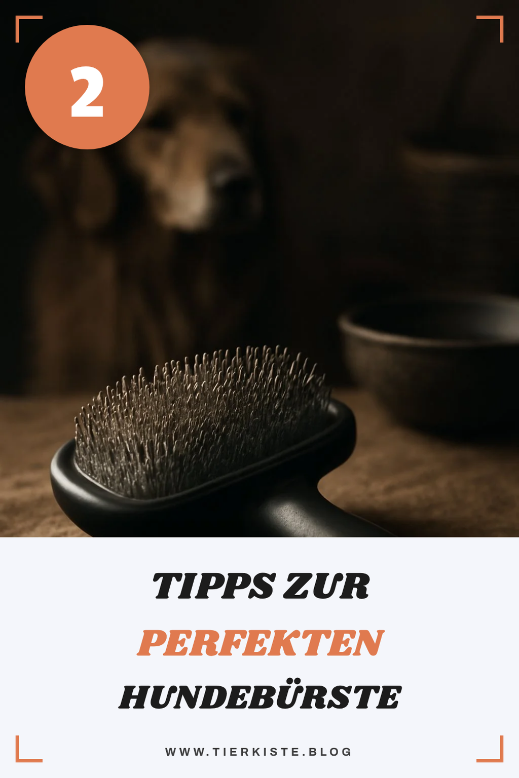 So findest du die beste Hundebürste für Unterwolle