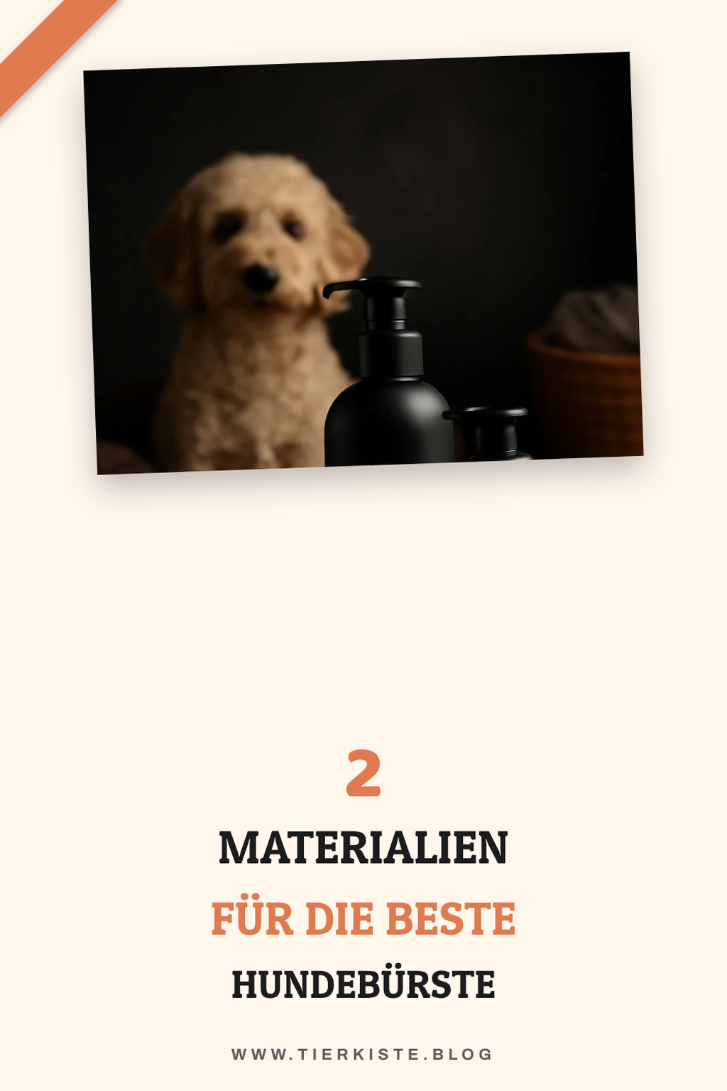 Die besten Materialien für Hundebürsten