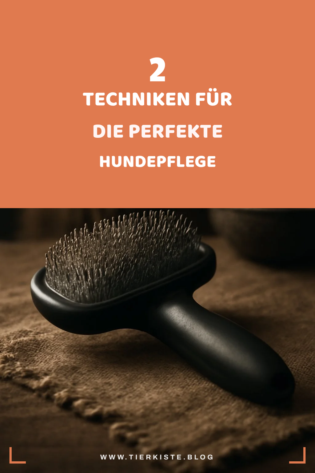 Bürstentechniken für beste Ergebnisse