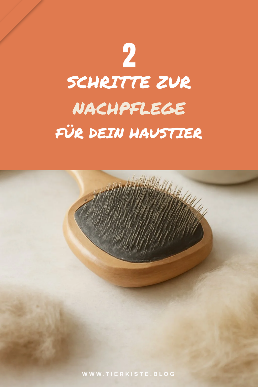 Die richtige Pflege nach dem Bürsten