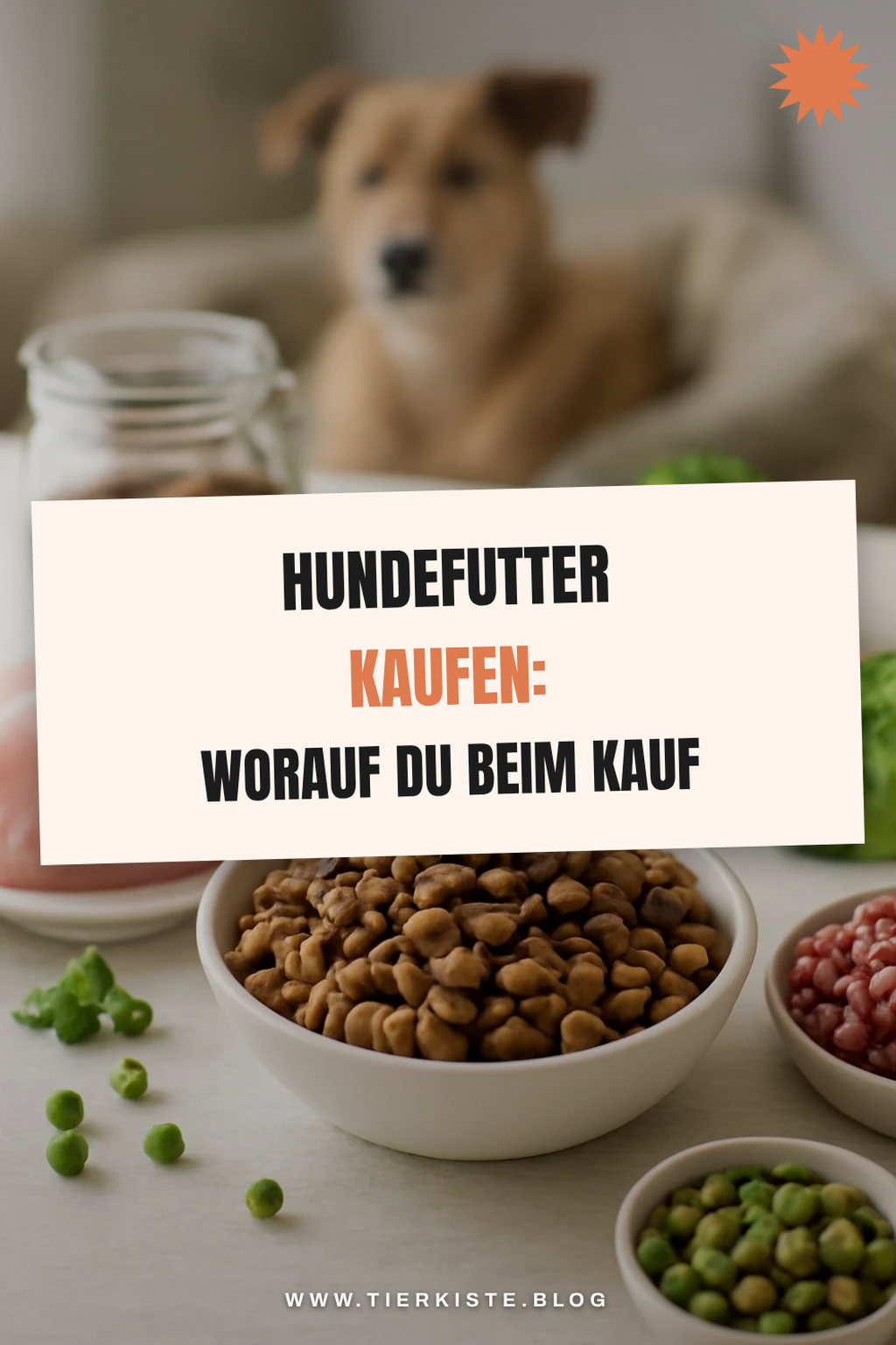 Hundefutter kaufen: Worauf du beim Kauf achten musst