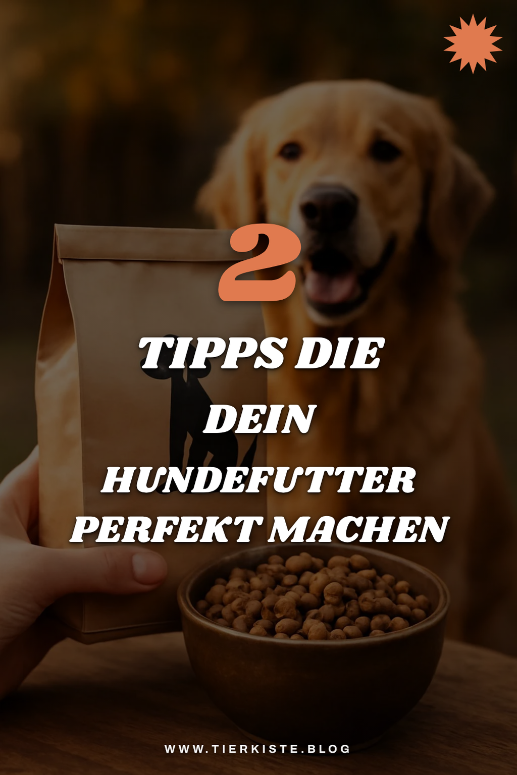 So wählst du das richtige Hundefutter aus