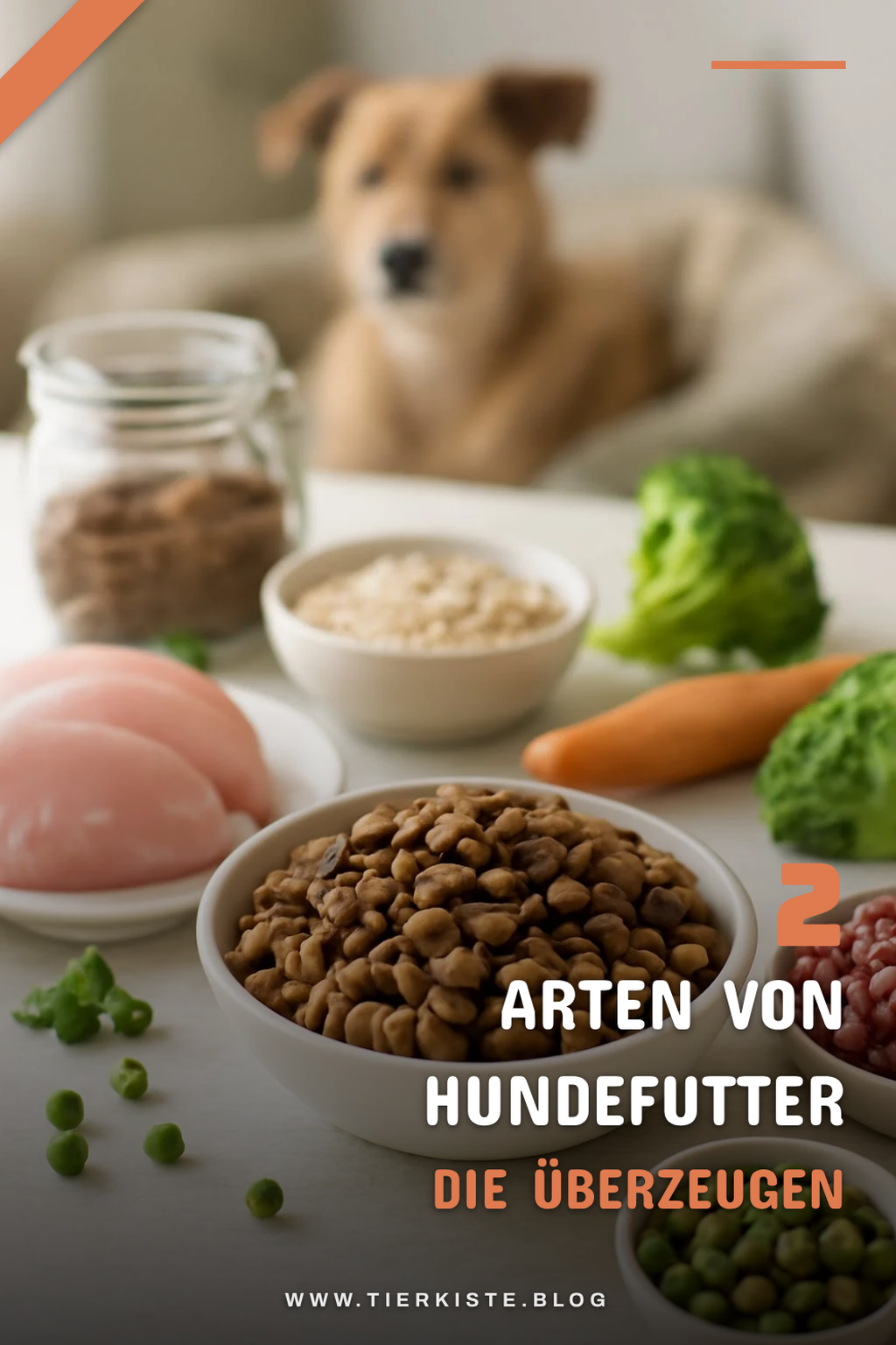 Die richtige Futterform wählen