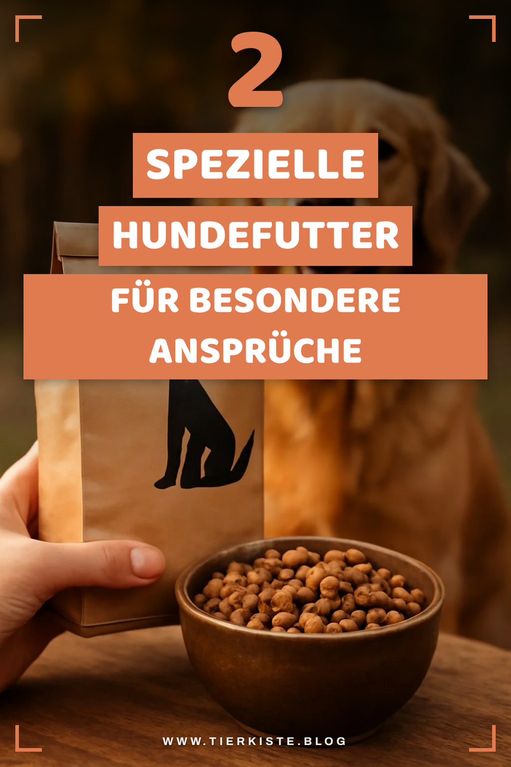 Hundefutter für besondere Bedürfnisse
