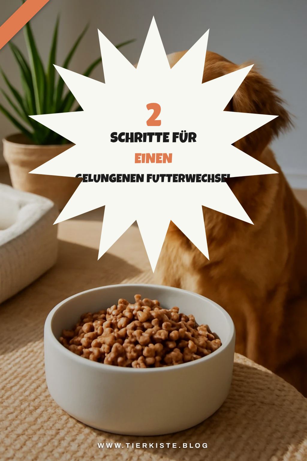Futterwechsel richtig durchführen