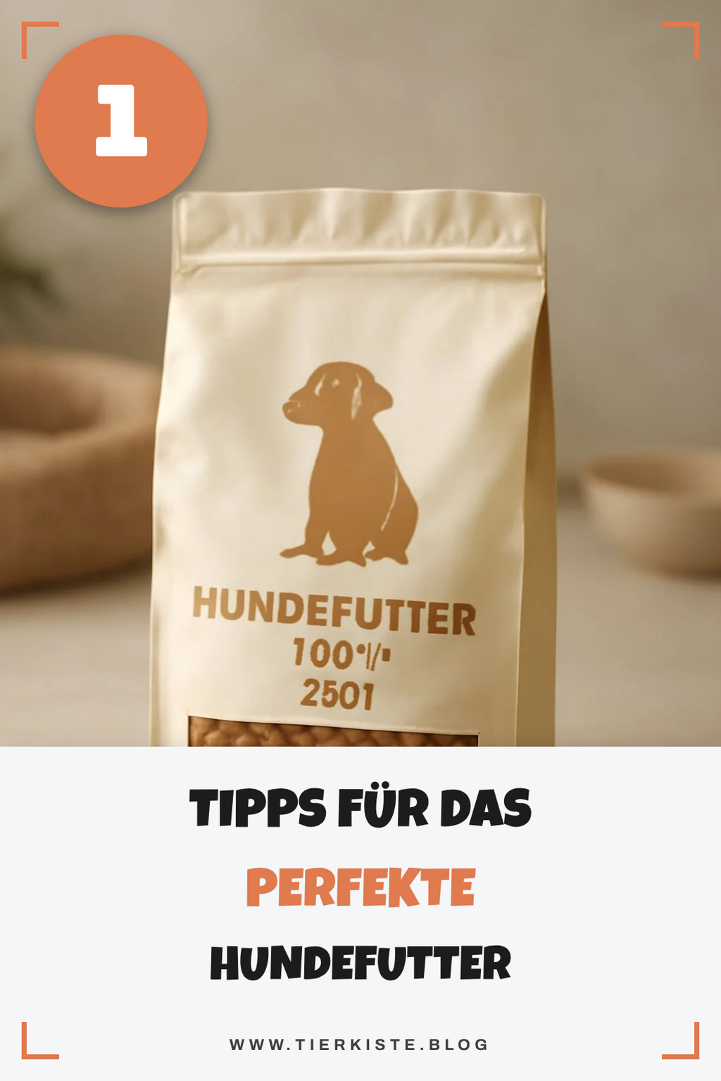 So findest du das perfekte Hundefutter für deinen Hund