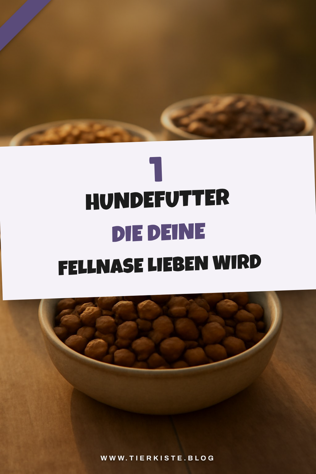 Diese 5 Hundefutter-Sorten überzeugen durch Qualität