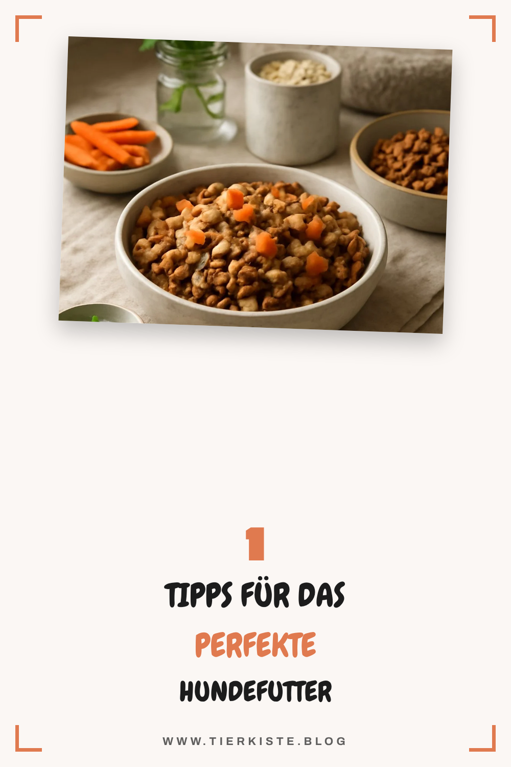 Mehr Empfehlungen aus dieser Kategorie