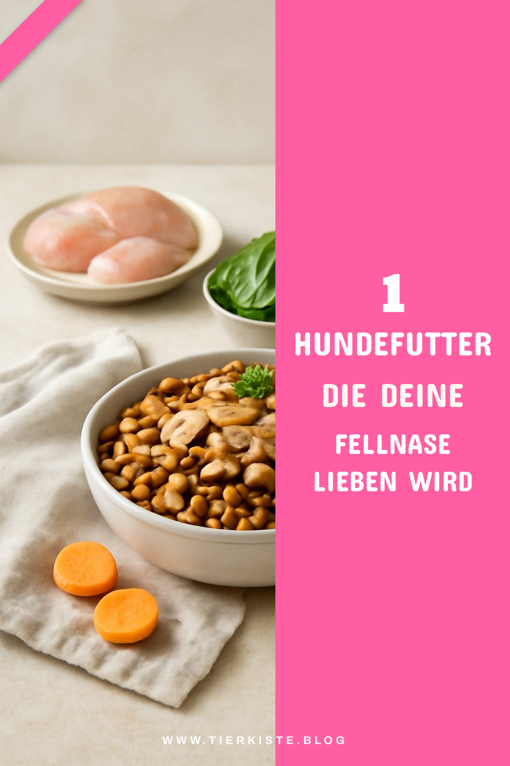 Mehr Empfehlungen aus dieser Kategorie