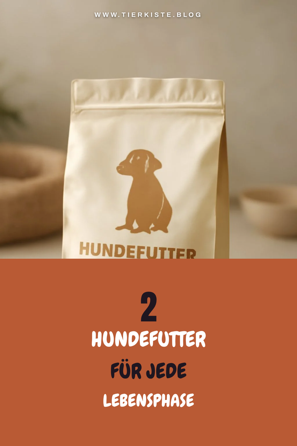 Spezielle Hundefutter für verschiedene Lebensphasen