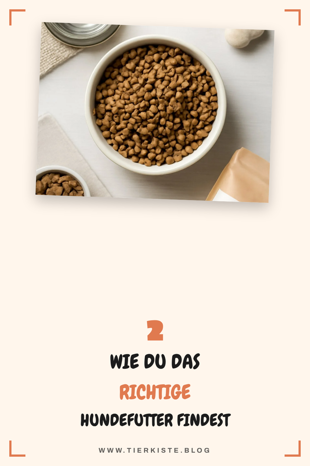 So findest du das richtige Hundefutter