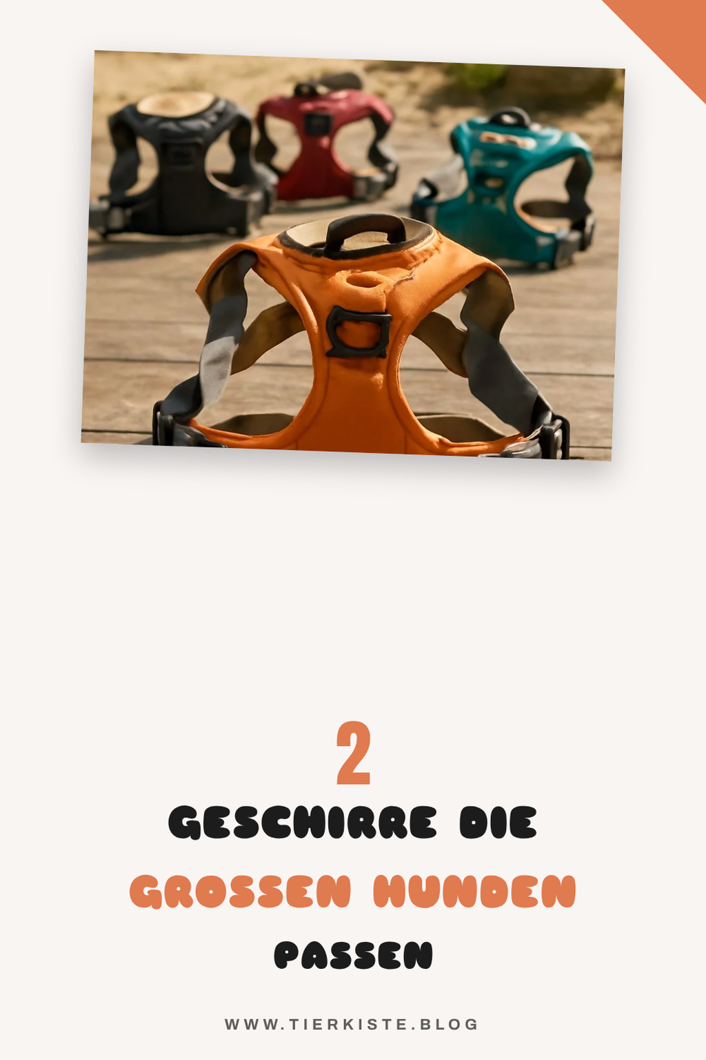 3 Geschirre für große Hunderassen