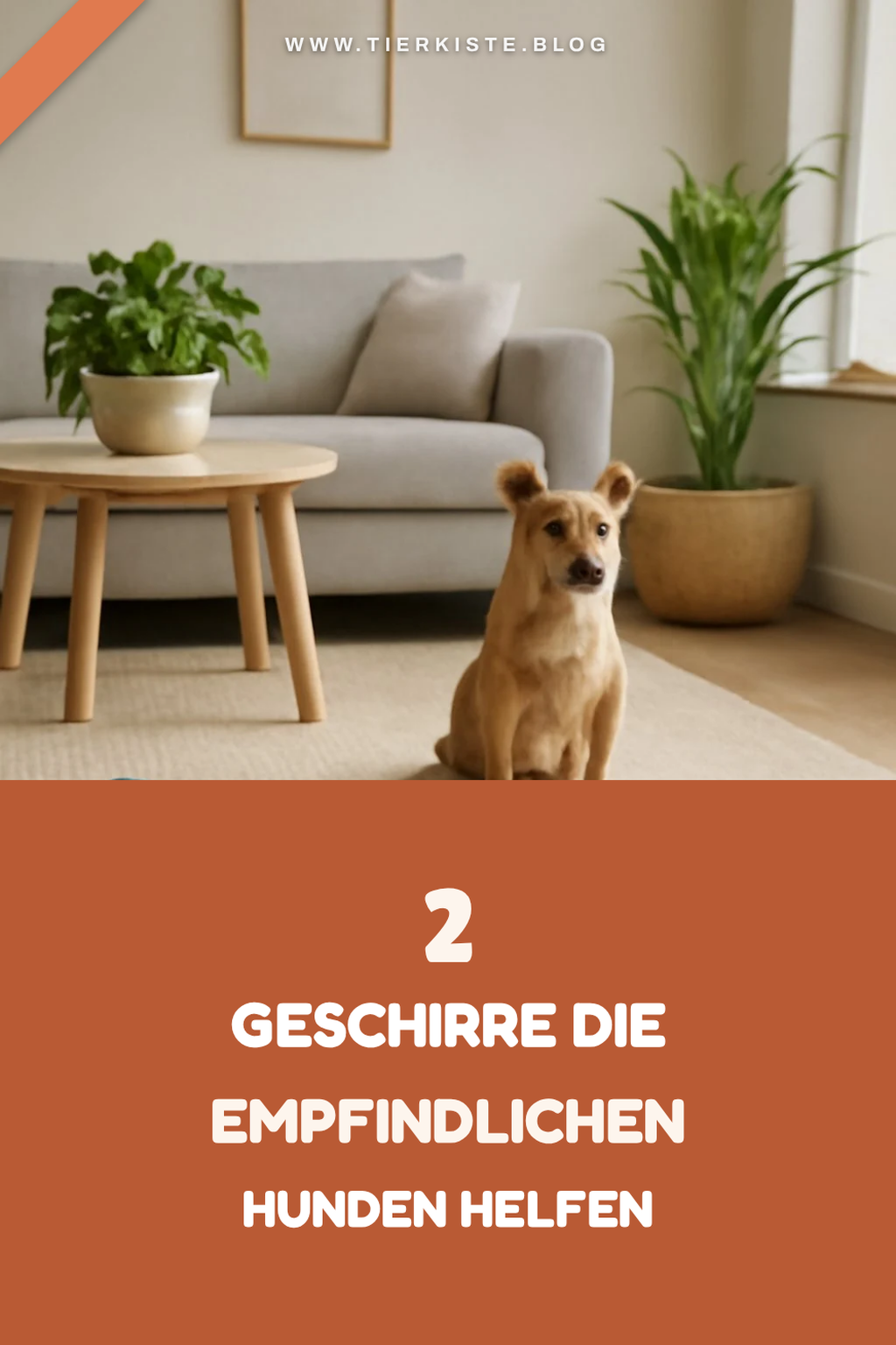 2 Geschirre für empfindliche Hunde