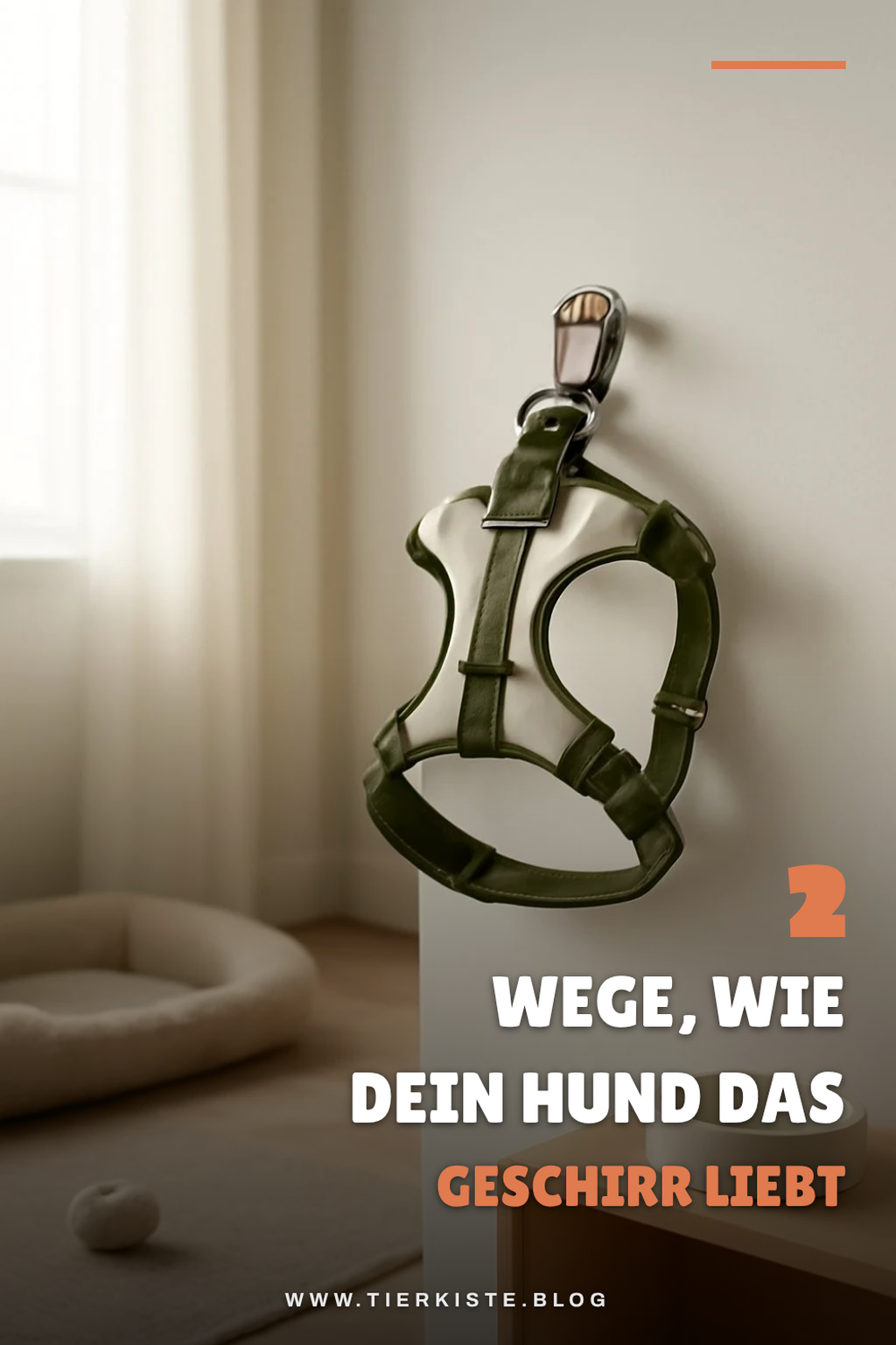 So gewöhnst du deinen Hund an das Geschirr
