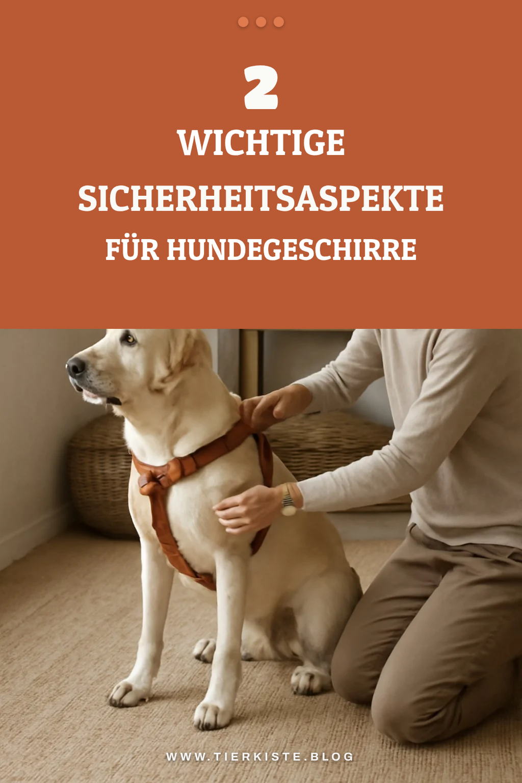 Sicherheitsaspekte beachten