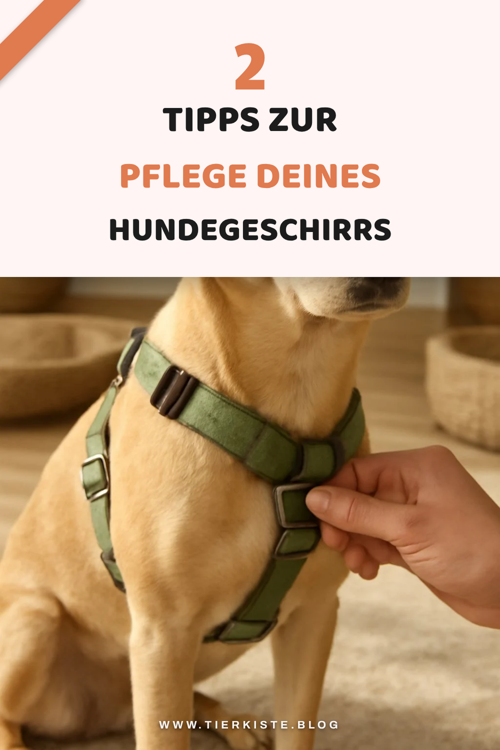 Pflege und Wartung des Geschirrs