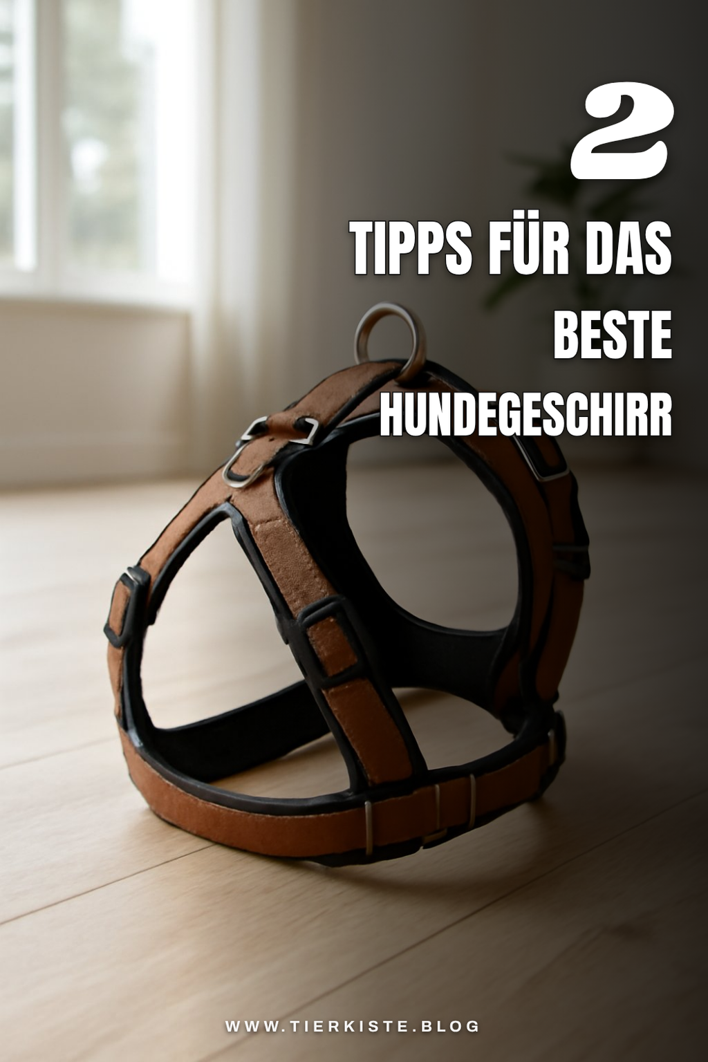 So findest du das beste Hundegeschirr für Zug und Komfort