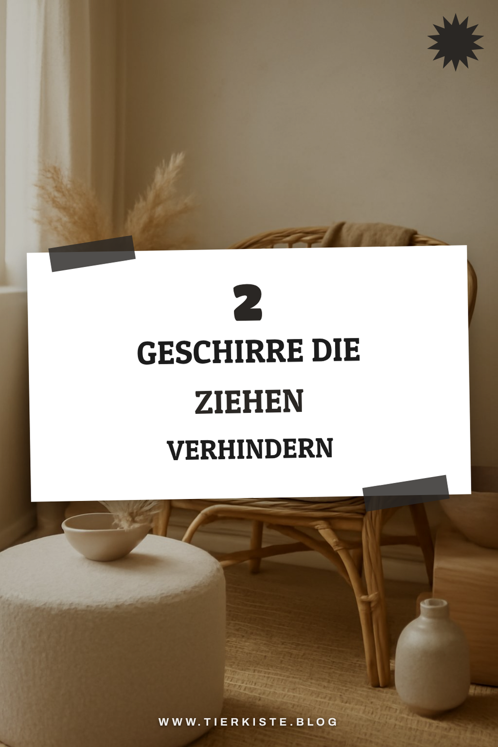 Diese Hundegeschirre bieten besten Halt beim Ziehen