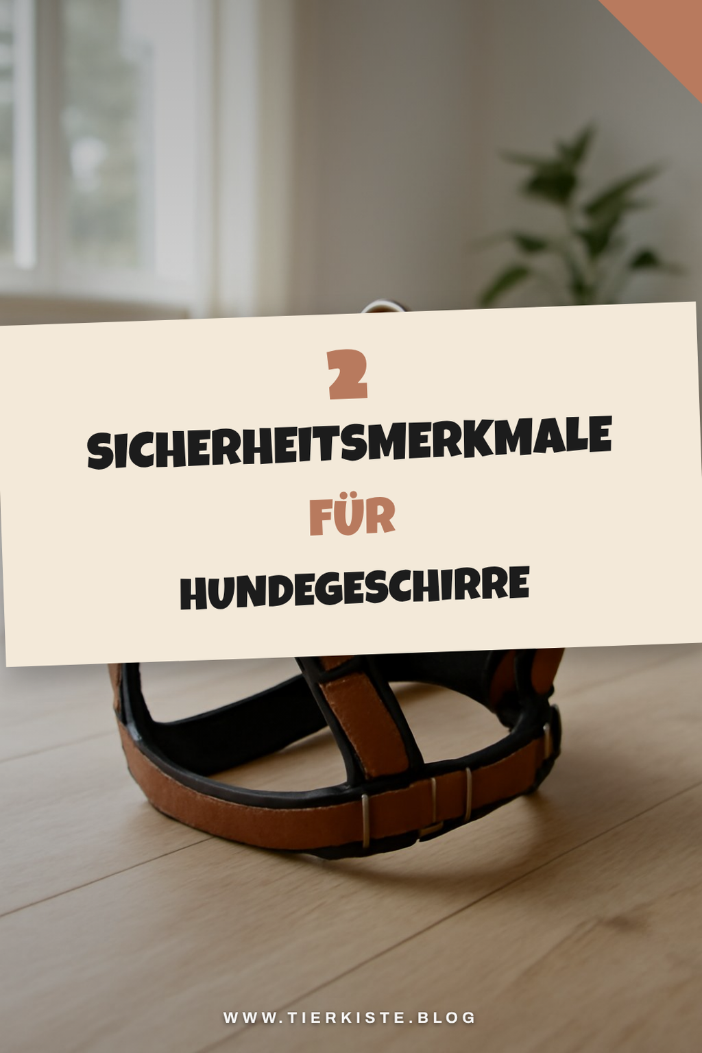 Sicherheitsmerkmale, die wichtig sind