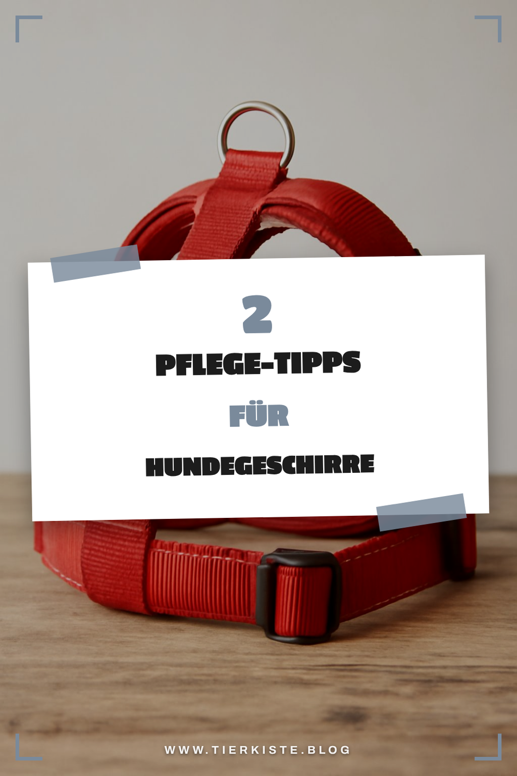 Tipps zur Pflege und Reinigung von Hundegeschirren