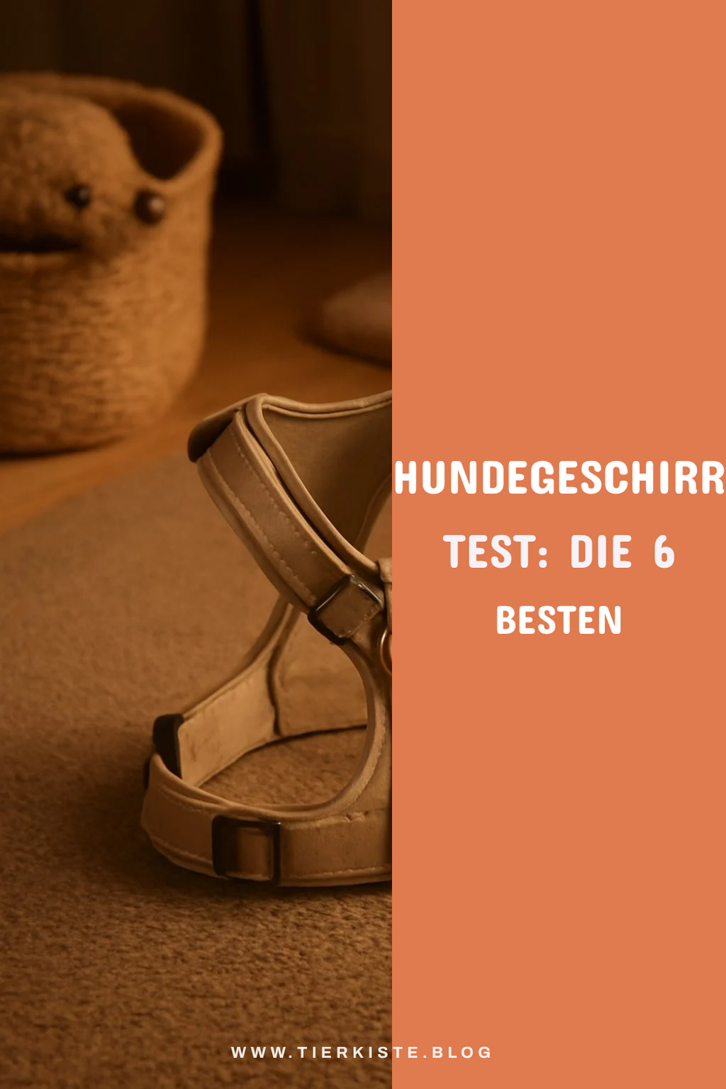 Hundegeschirr Test: Die 6 besten für Zug und Komfort
