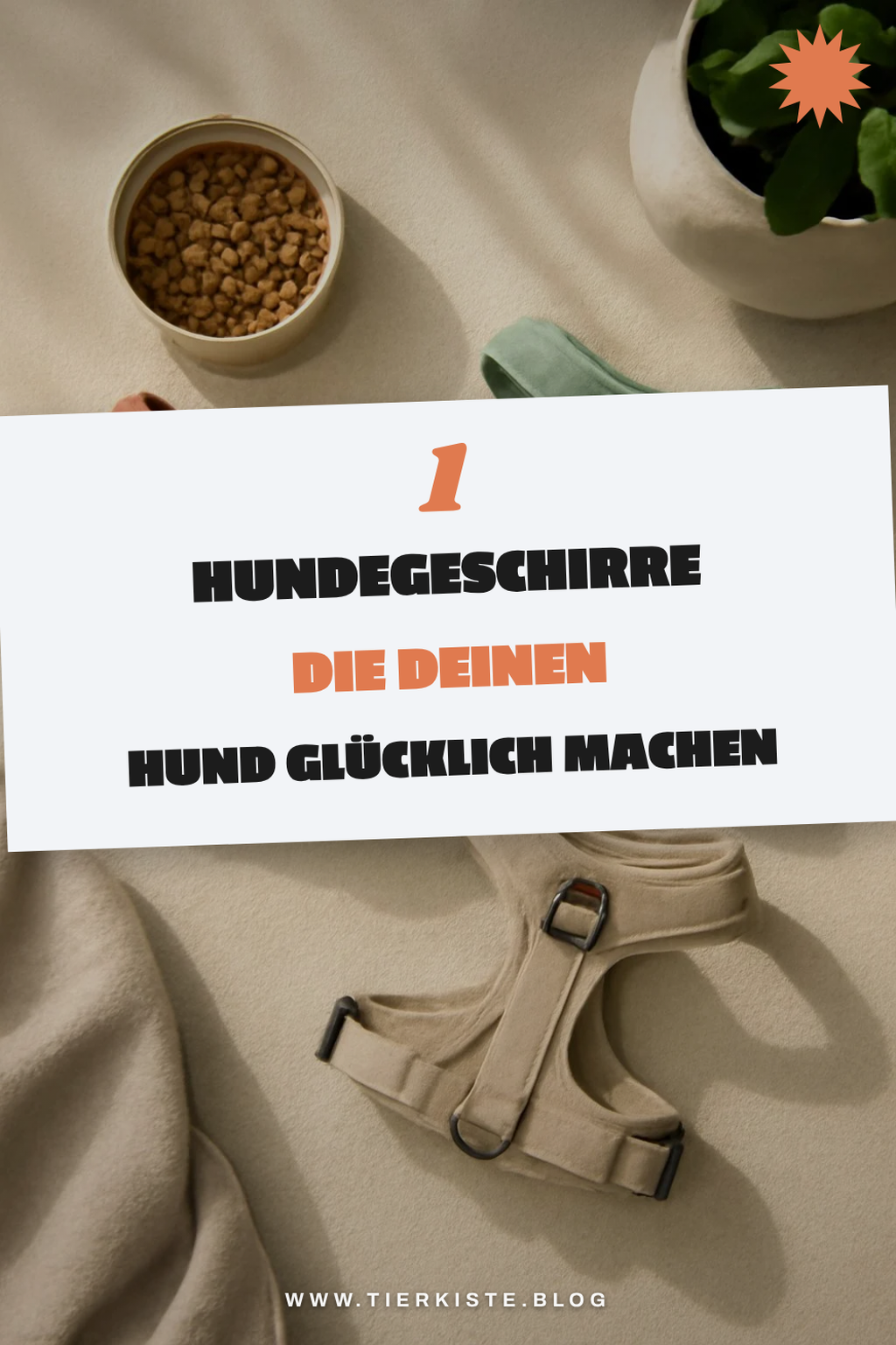 Die besten Hundegeschirre für Zug und Komfort finden