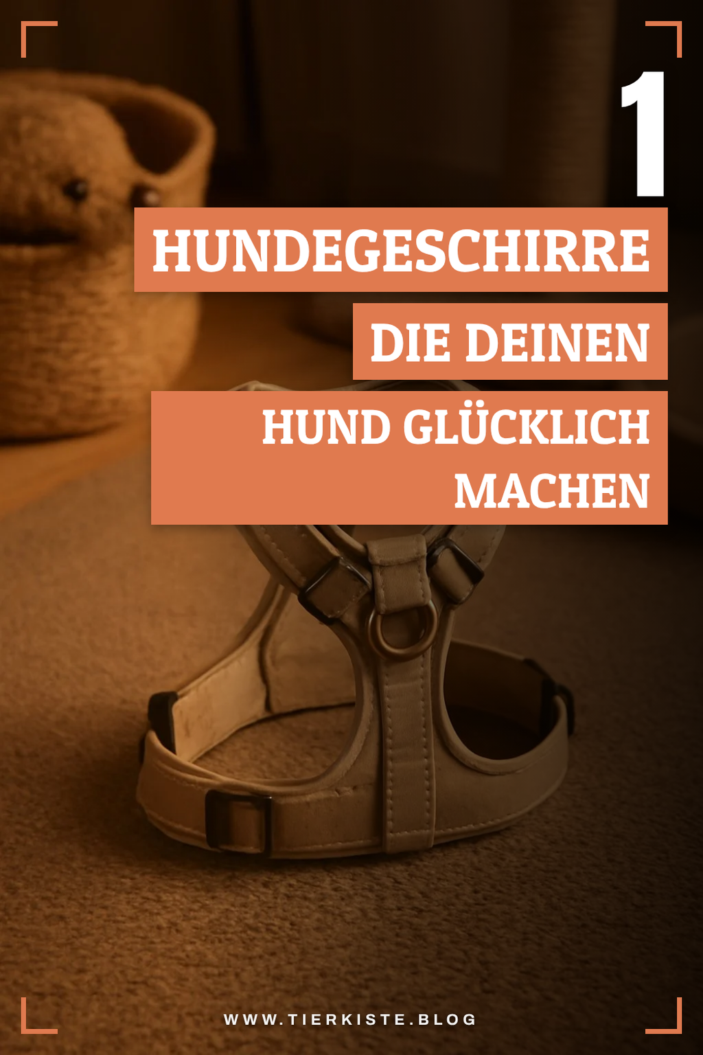 Mehr Empfehlungen aus dieser Kategorie