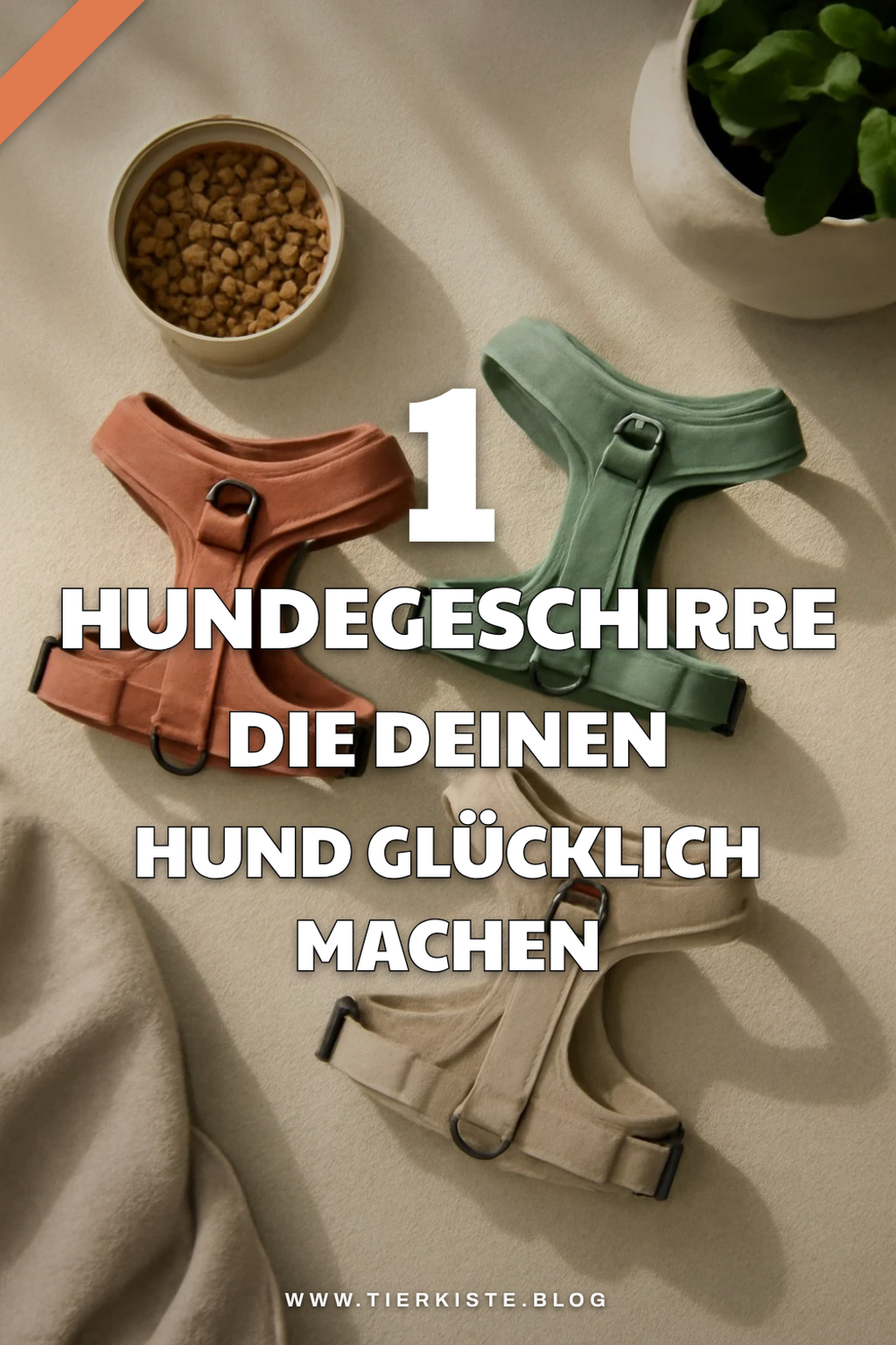 Diese 2 Picks lohnen sich extra