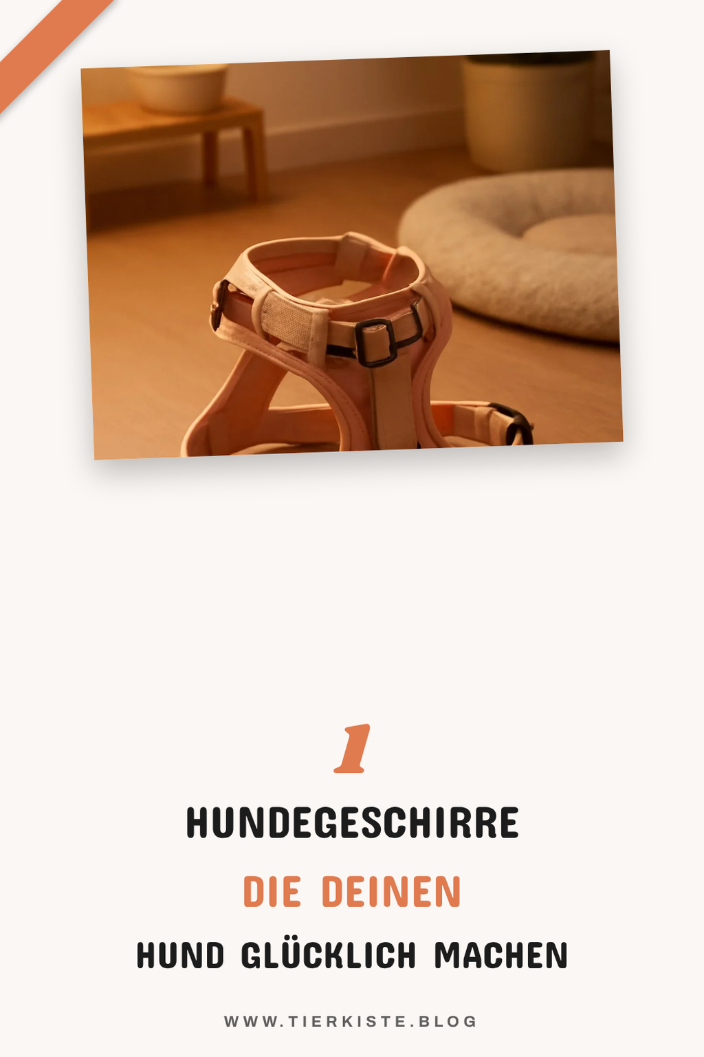 Zusätzliche Tipps, die noch reinpassen