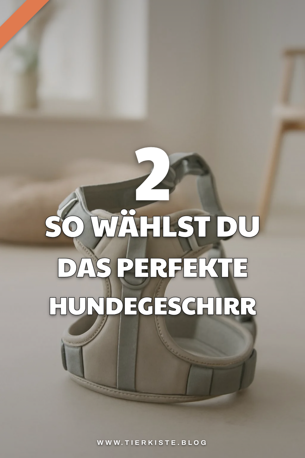 Wie du das richtige Geschirr für deinen Hund auswählst