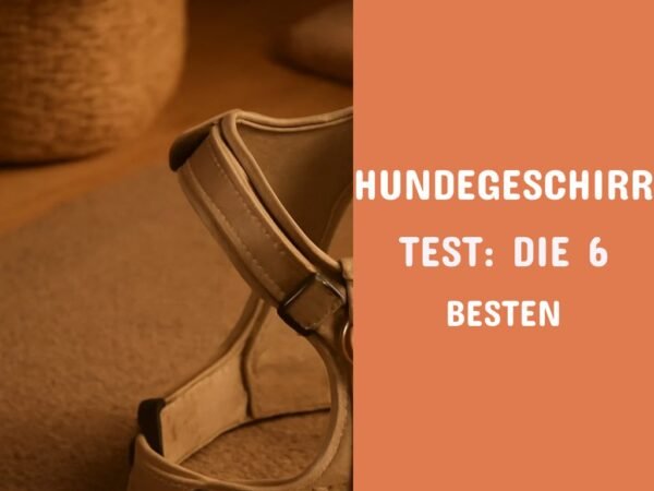 Hundegeschirr Test: Die 6 besten für Zug und Komfort