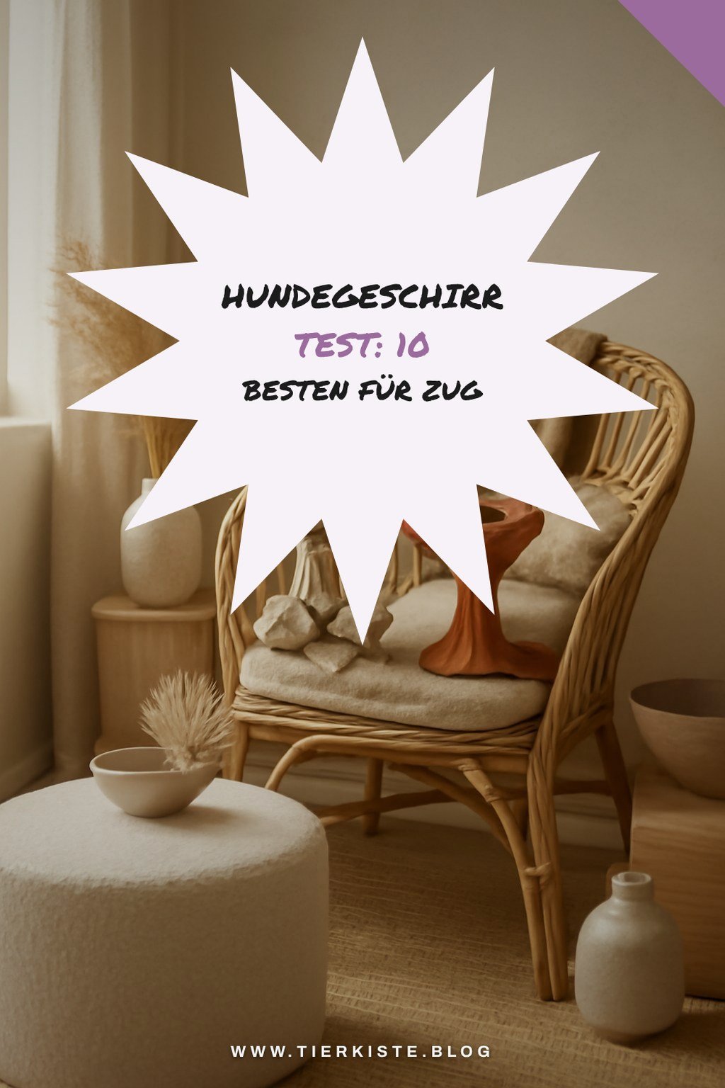 Hundegeschirr Test: Die 10 besten für Zug und Komfort