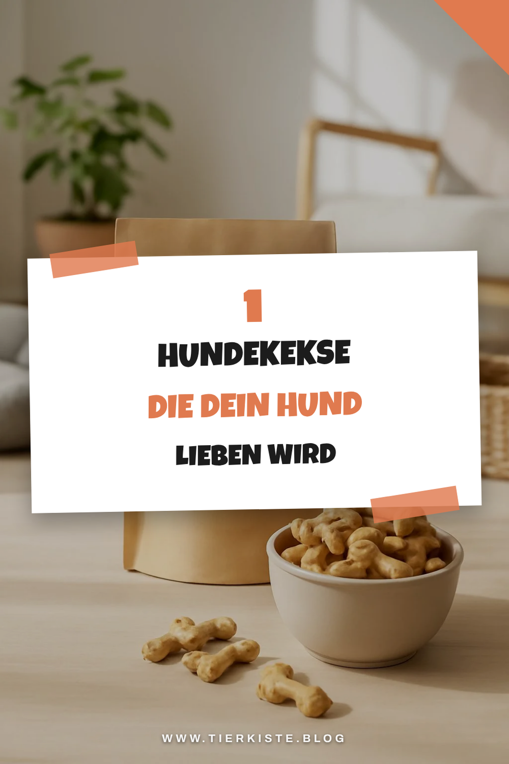 Mehr Empfehlungen aus dieser Kategorie