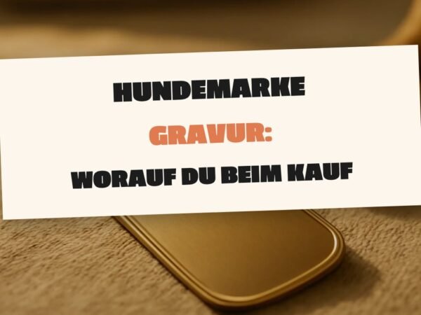 Hundemarke Gravur: Worauf du beim Kauf achten musst