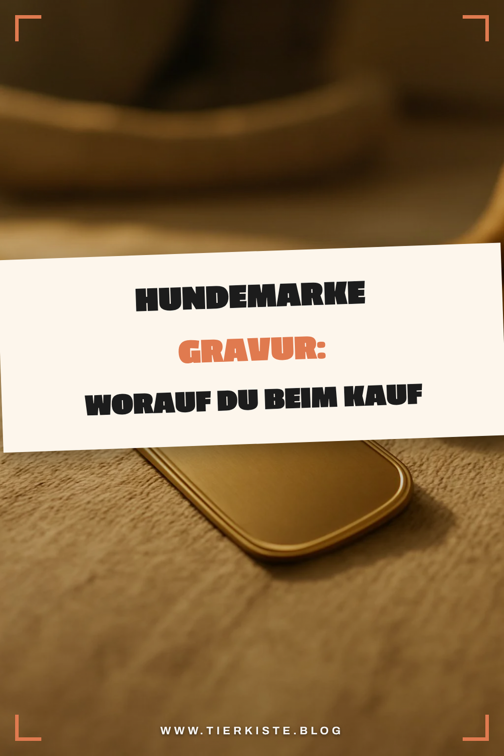 Hundemarke Gravur: Worauf du beim Kauf achten musst