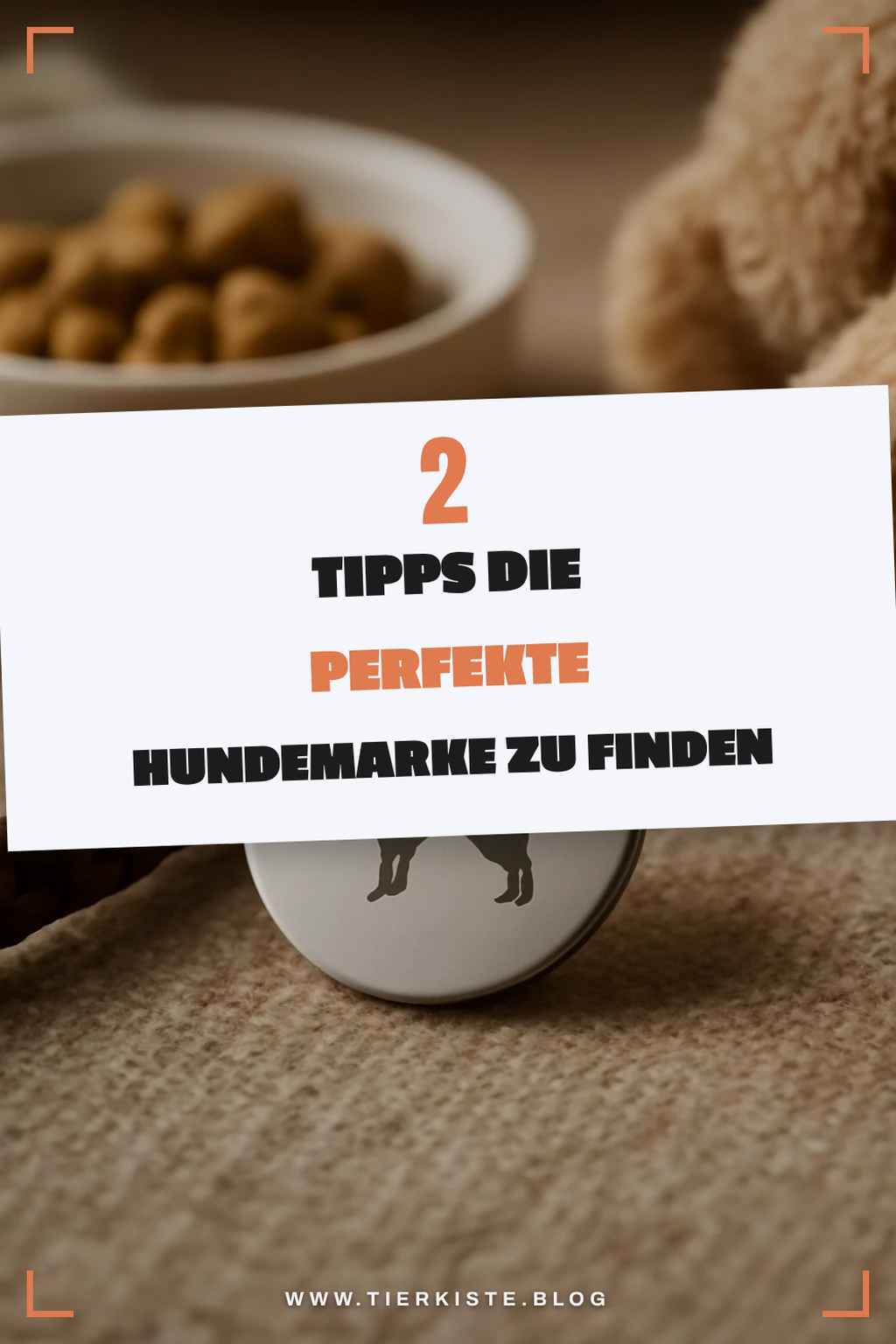 So findest du die perfekte Hundemarke mit Gravur