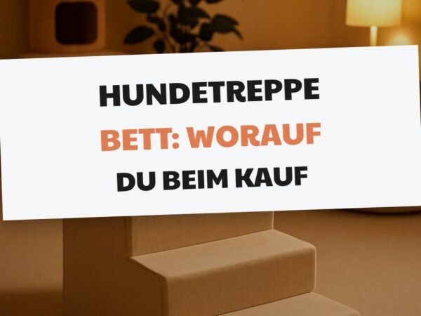 Hundetreppe Bett: Worauf du beim Kauf achten musst