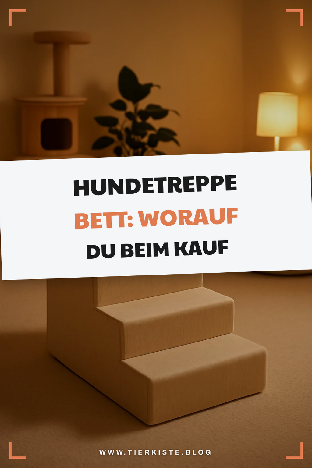 Hundetreppe Bett: Worauf du beim Kauf achten musst