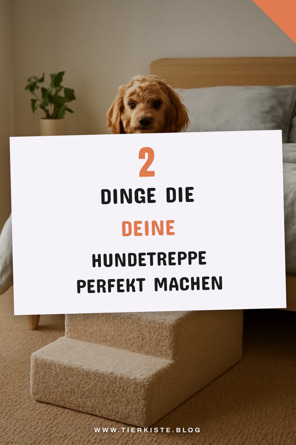 So findest du die perfekte Hundetreppe für dein Bett