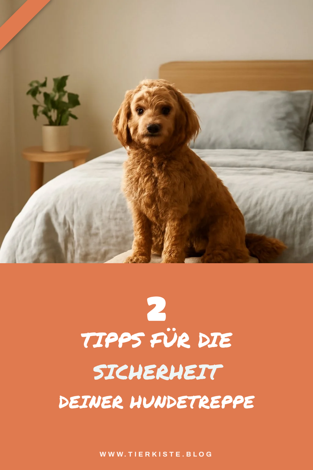Wie du die Sicherheit deiner Hundetreppe sicherstellst