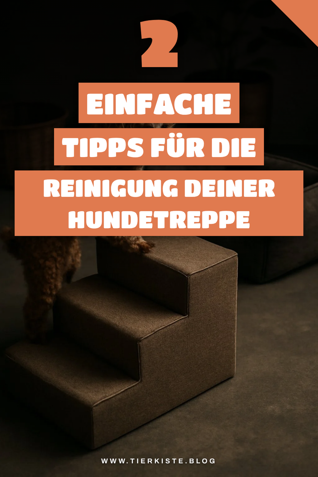 So reinigst du deine Hundetreppe richtig