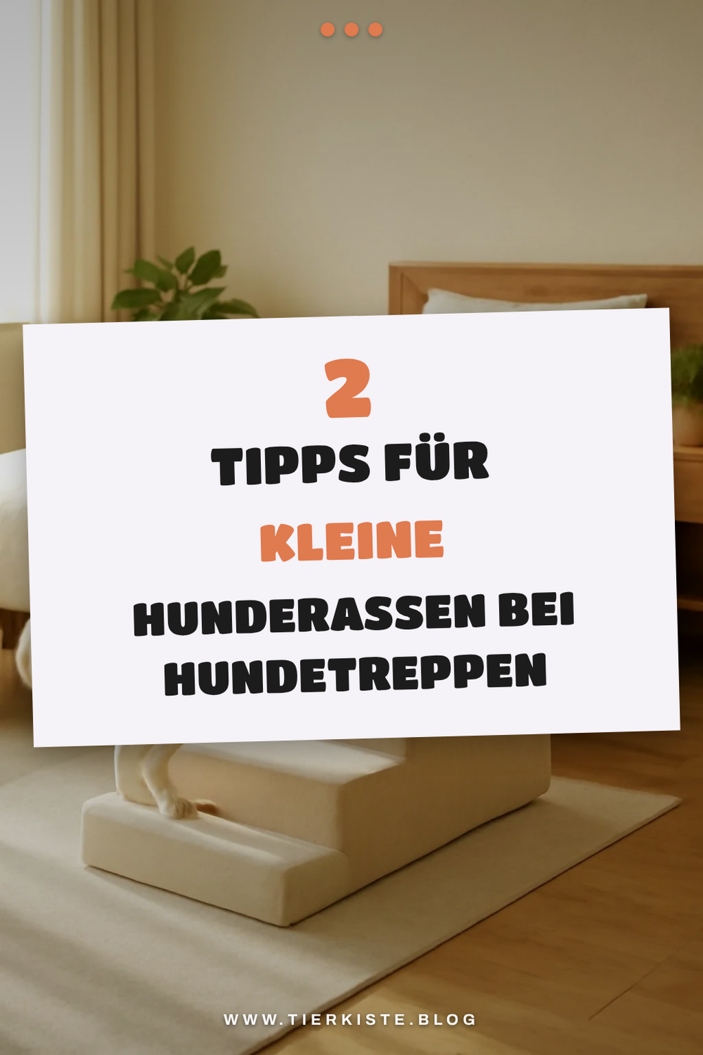 Besondere Hundetreppe für kleine Hunde