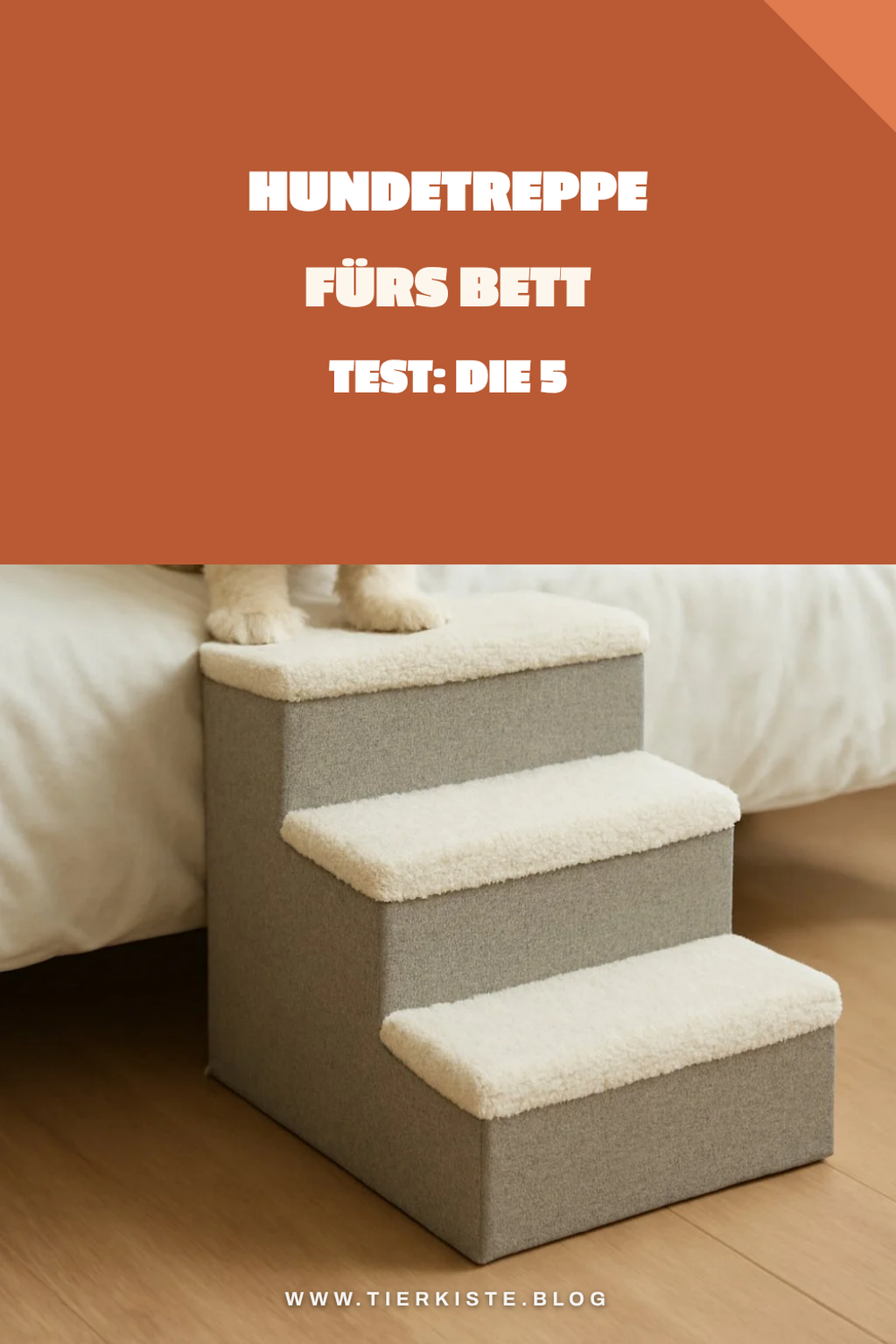 Hundetreppe fürs Bett Test: Die 5 besten im Vergleich
